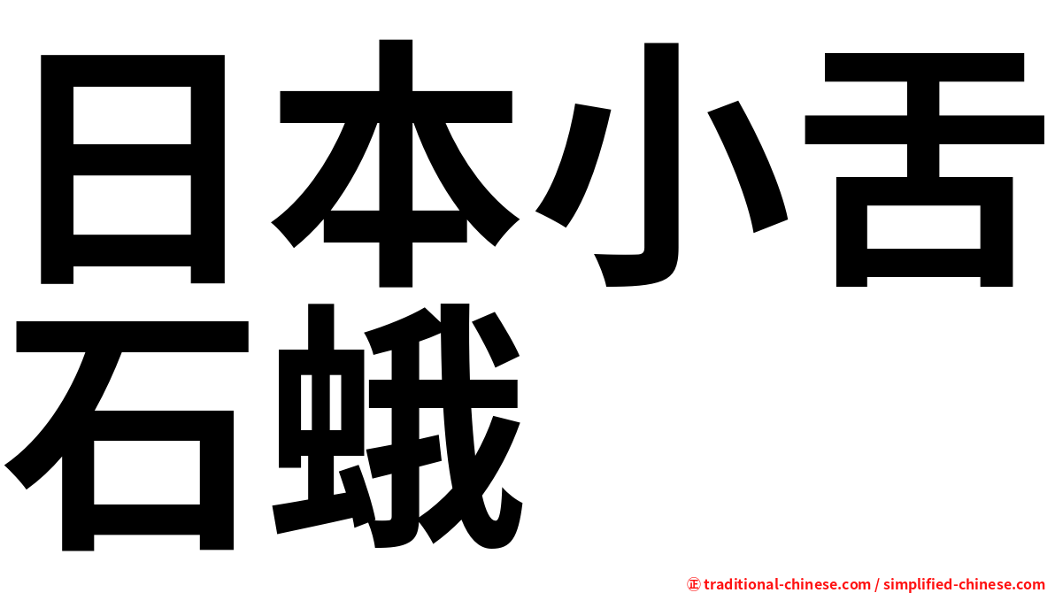 日本小舌石蛾