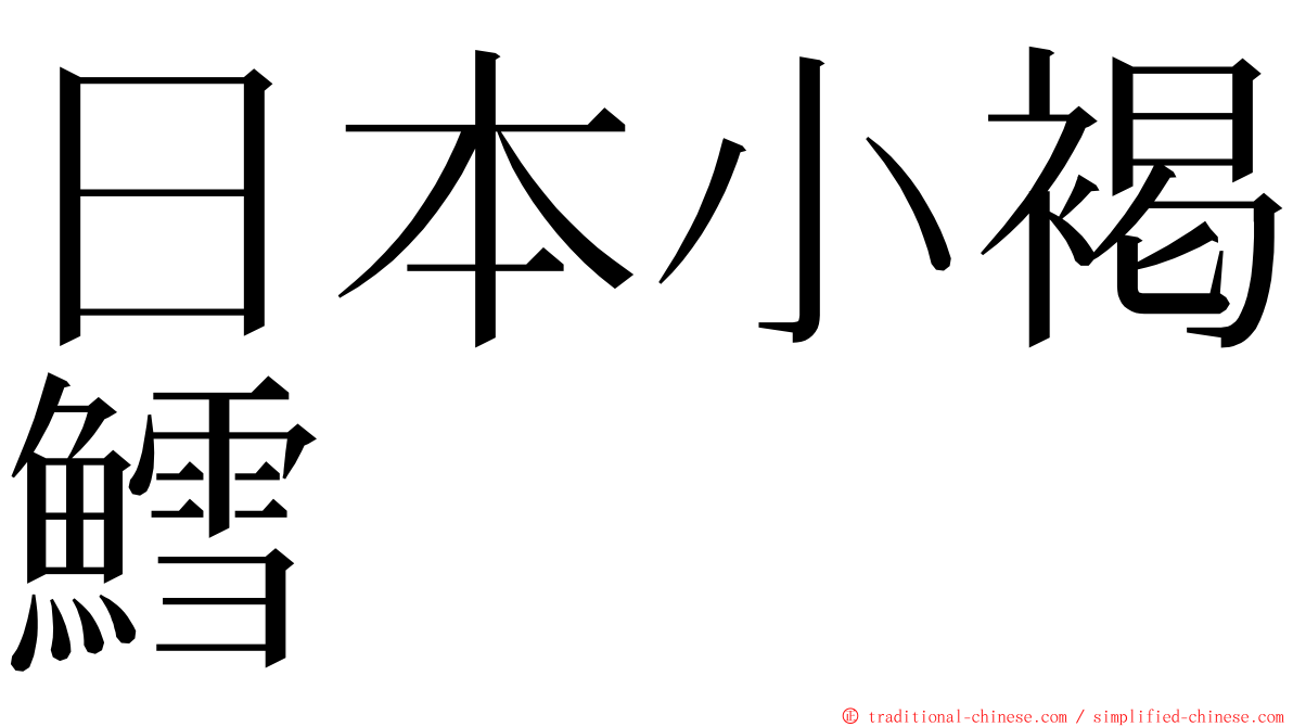 日本小褐鱈 ming font