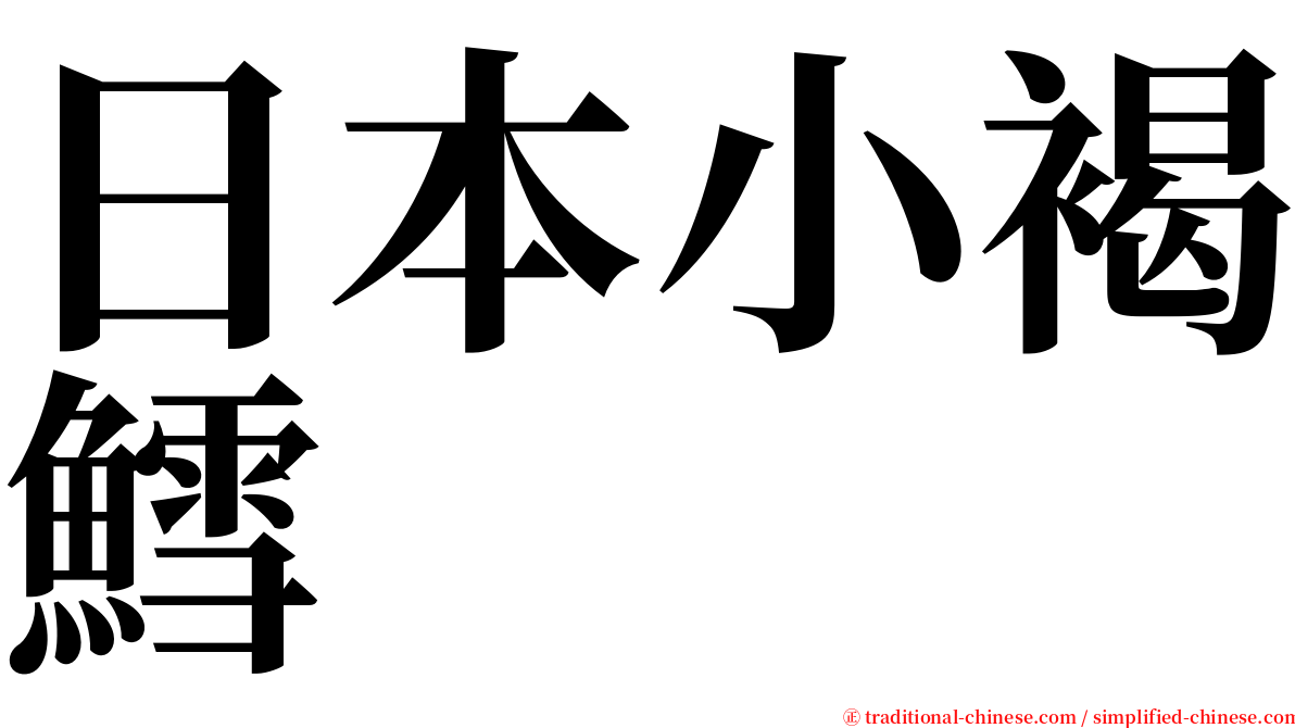 日本小褐鱈 serif font