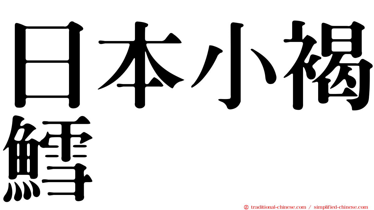 日本小褐鱈