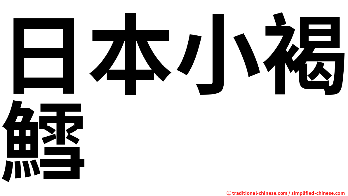 日本小褐鱈