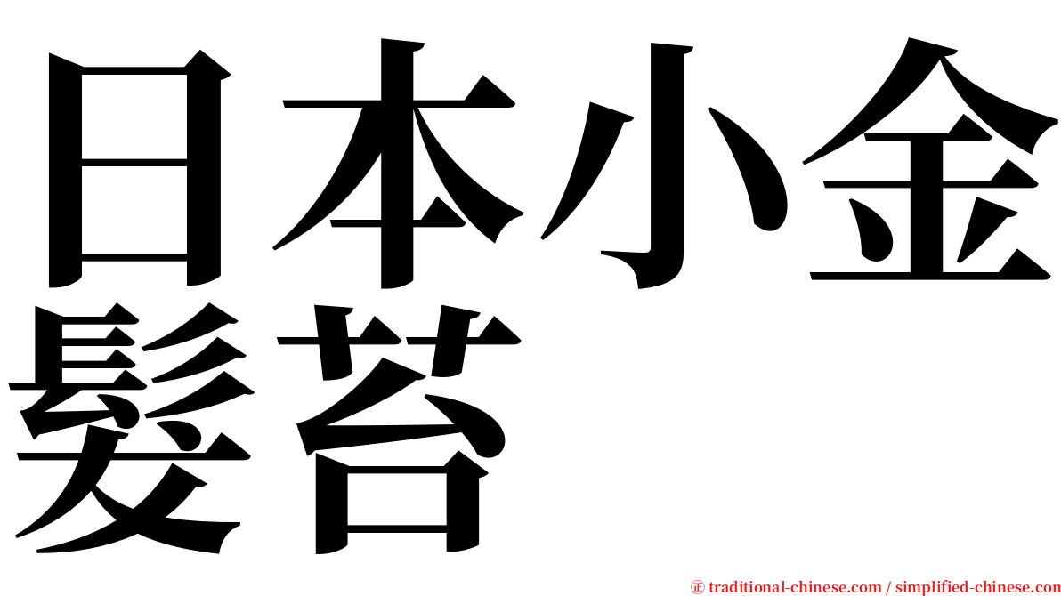 日本小金髮苔 serif font