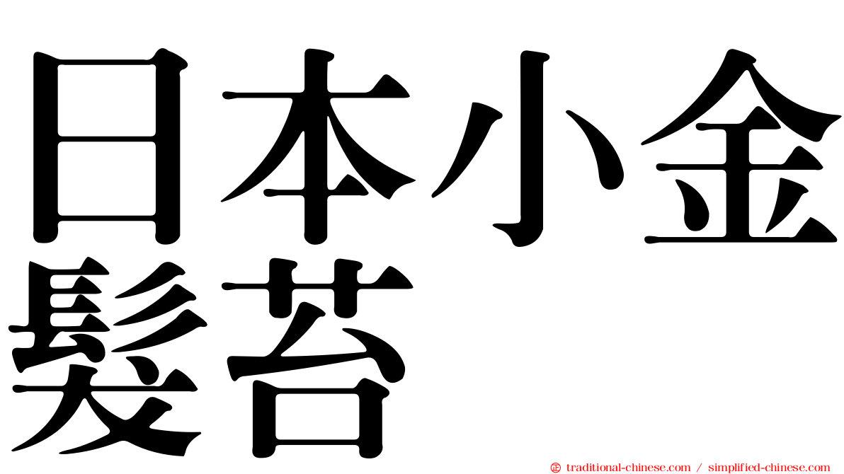 日本小金髮苔