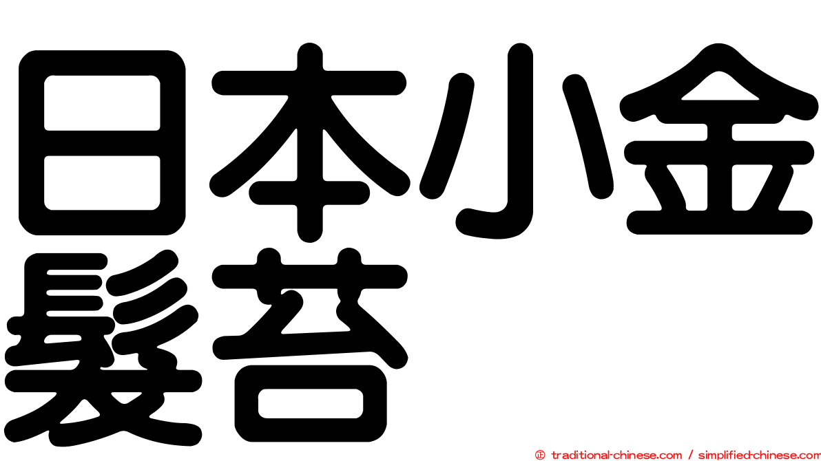 日本小金髮苔