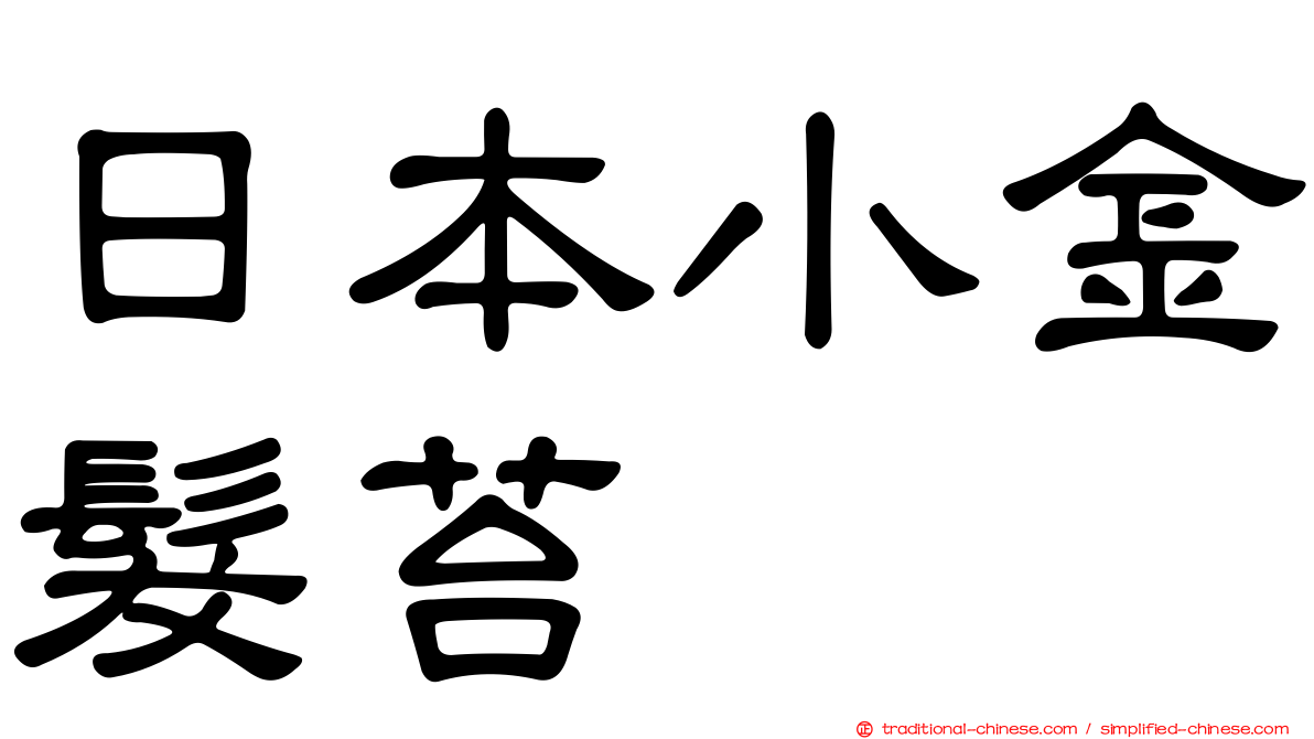 日本小金髮苔