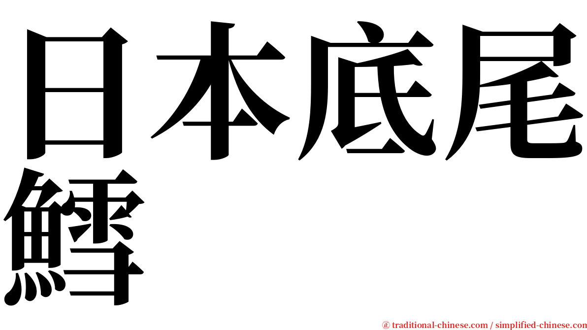 日本底尾鱈 serif font