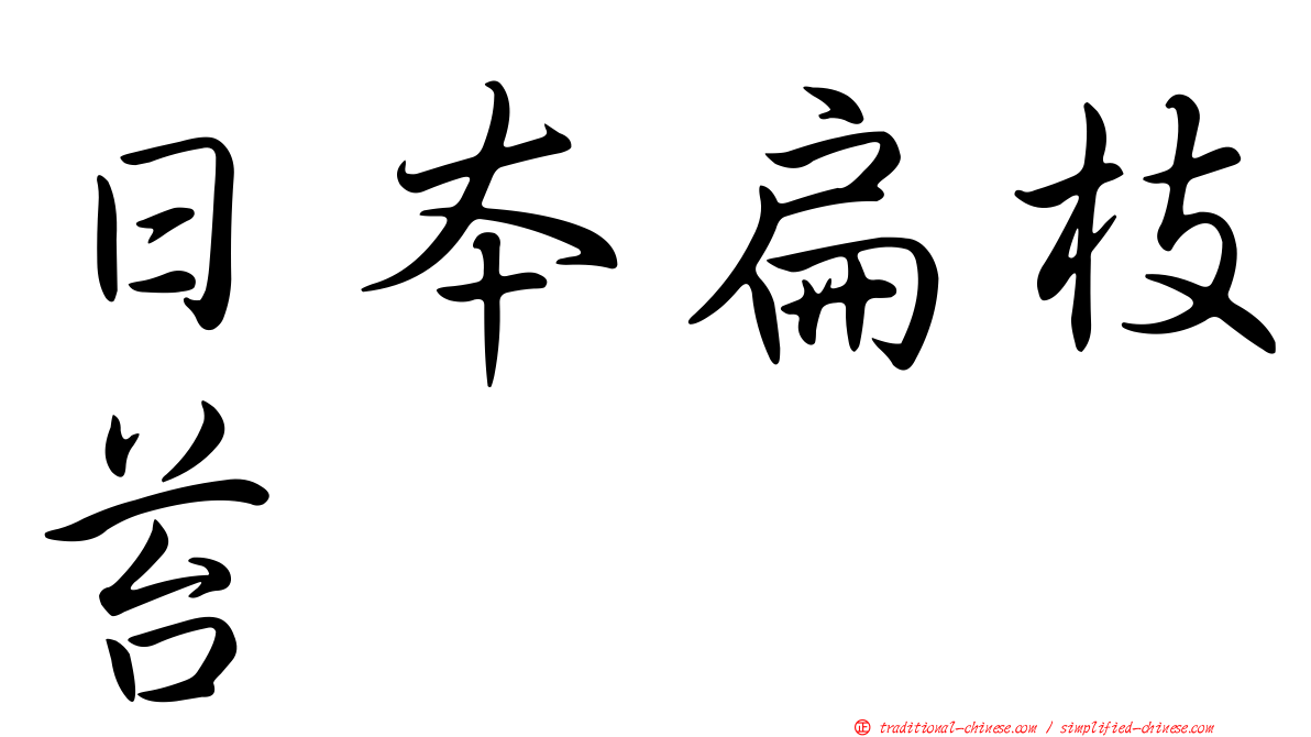 日本扁枝苔