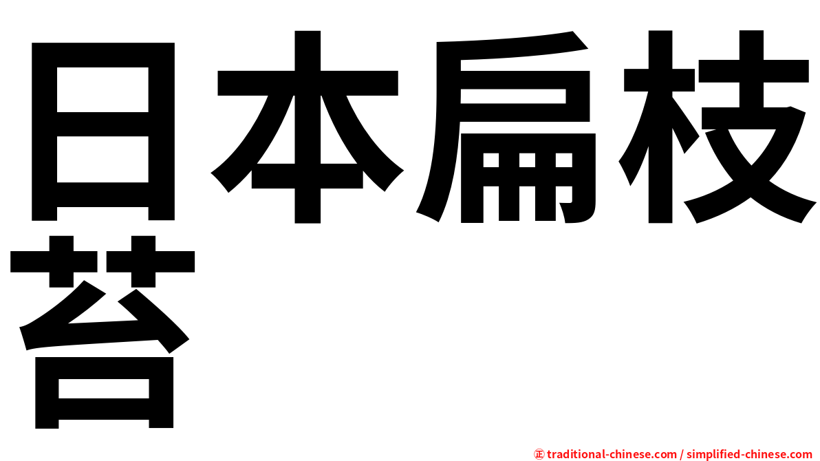 日本扁枝苔