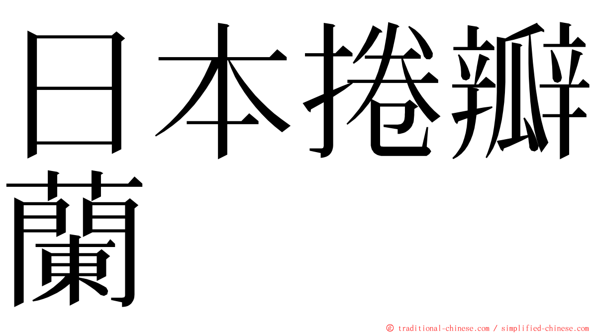 日本捲瓣蘭 ming font