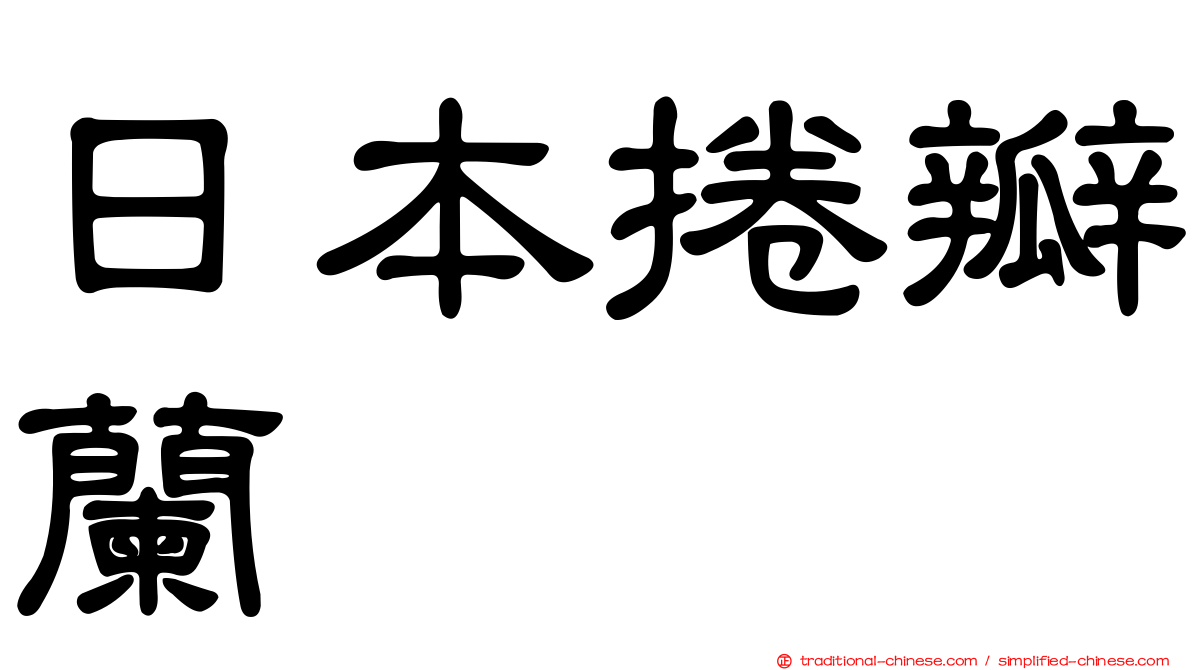 日本捲瓣蘭