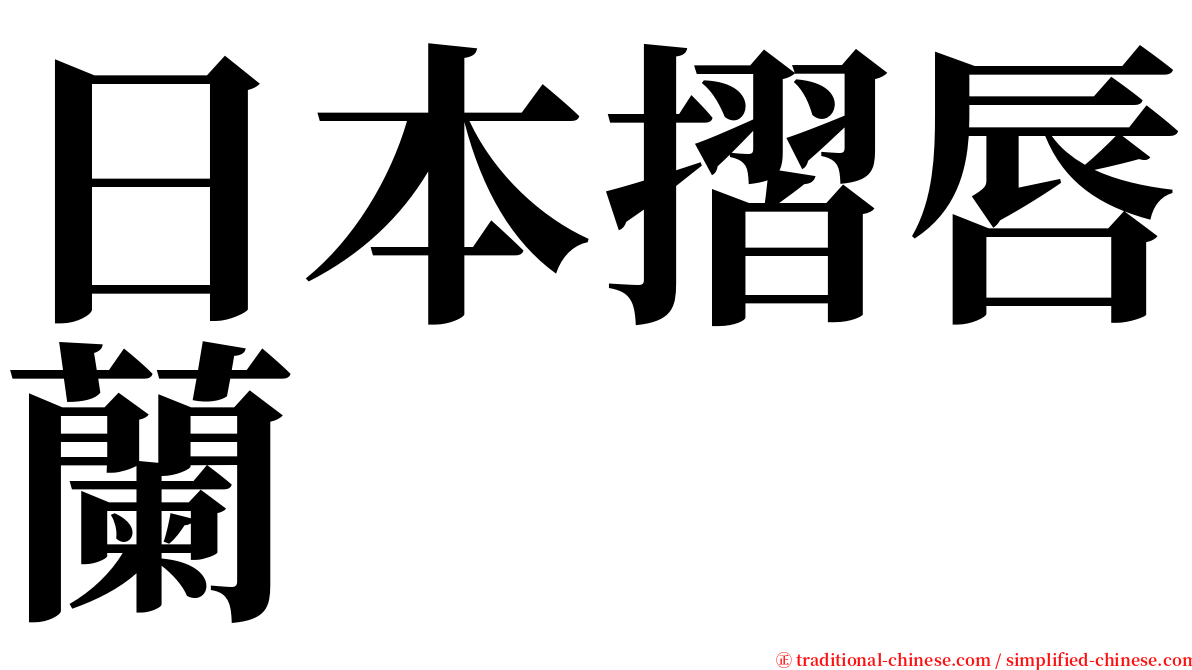 日本摺唇蘭 serif font