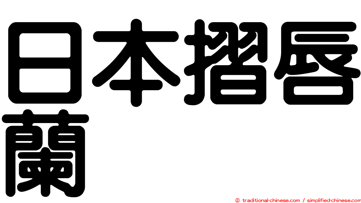 日本摺唇蘭