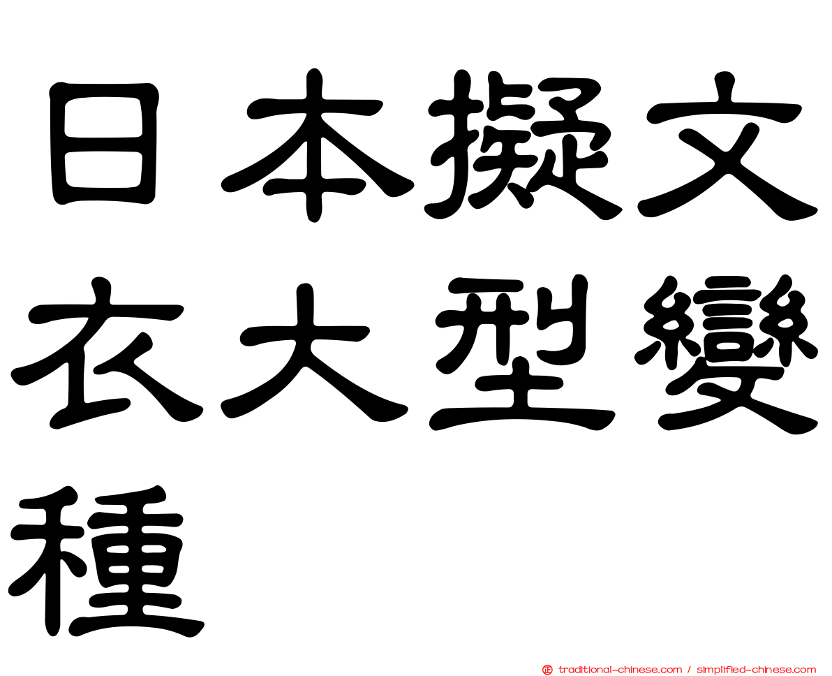 日本擬文衣大型變種