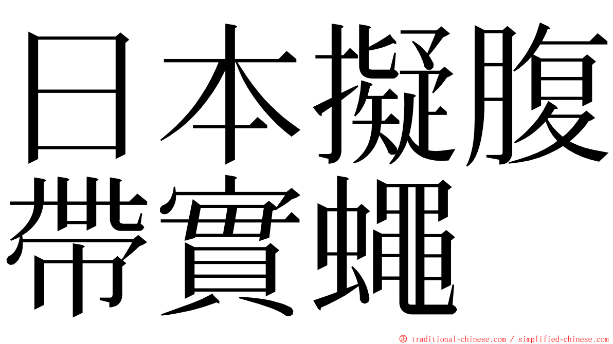 日本擬腹帶實蠅 ming font