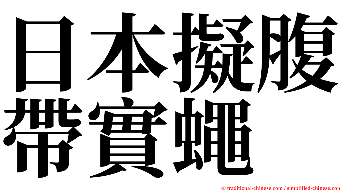 日本擬腹帶實蠅 serif font