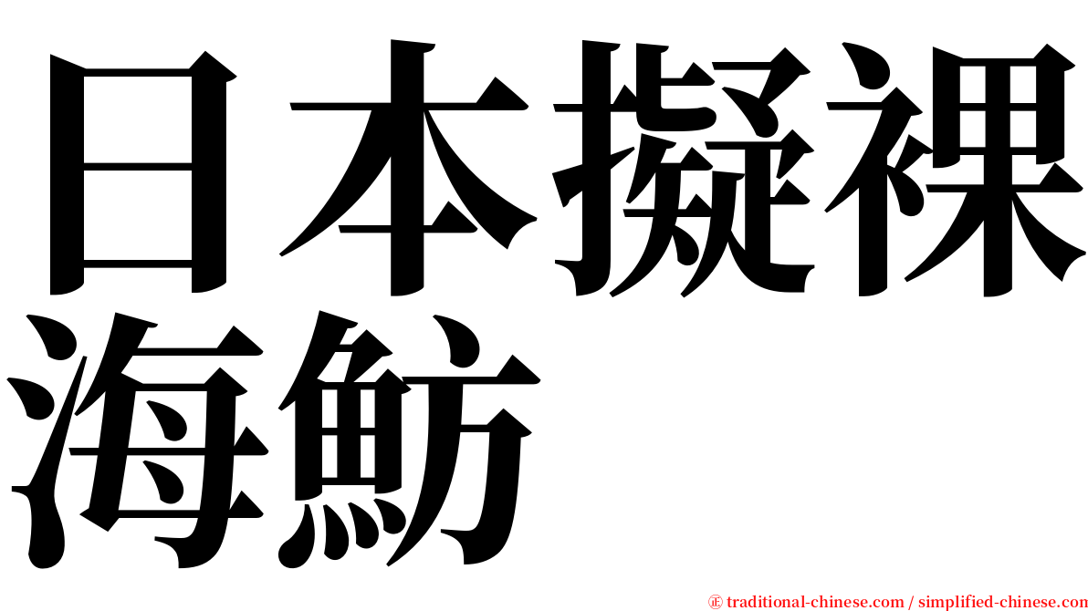 日本擬裸海魴 serif font
