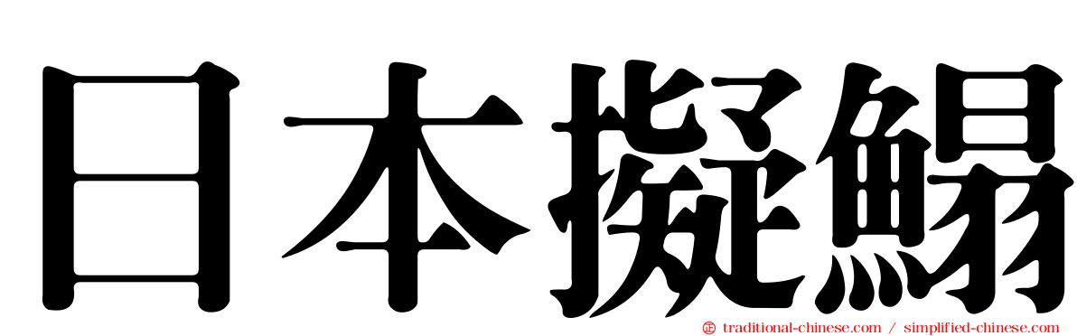 日本擬鰨