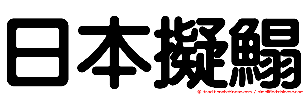 日本擬鰨