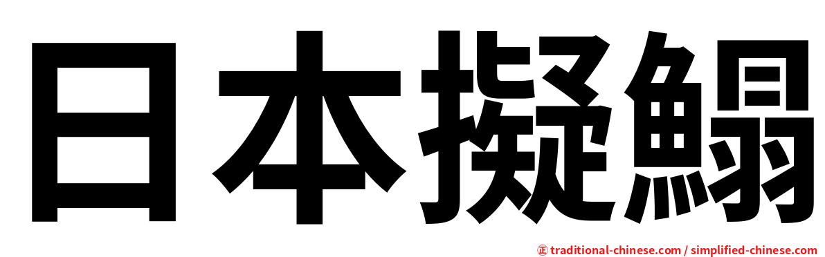 日本擬鰨