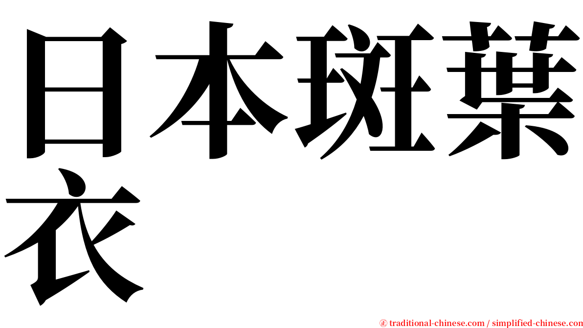 日本斑葉衣 serif font