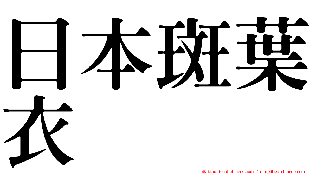 日本斑葉衣