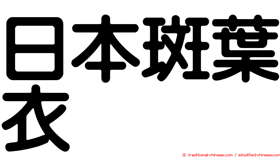 日本斑葉衣