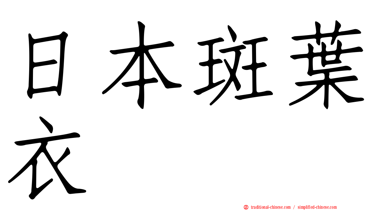 日本斑葉衣