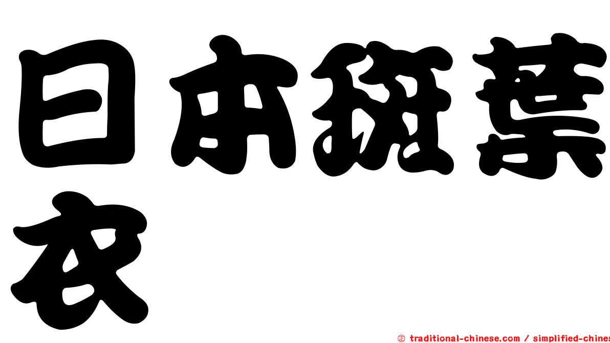 日本斑葉衣