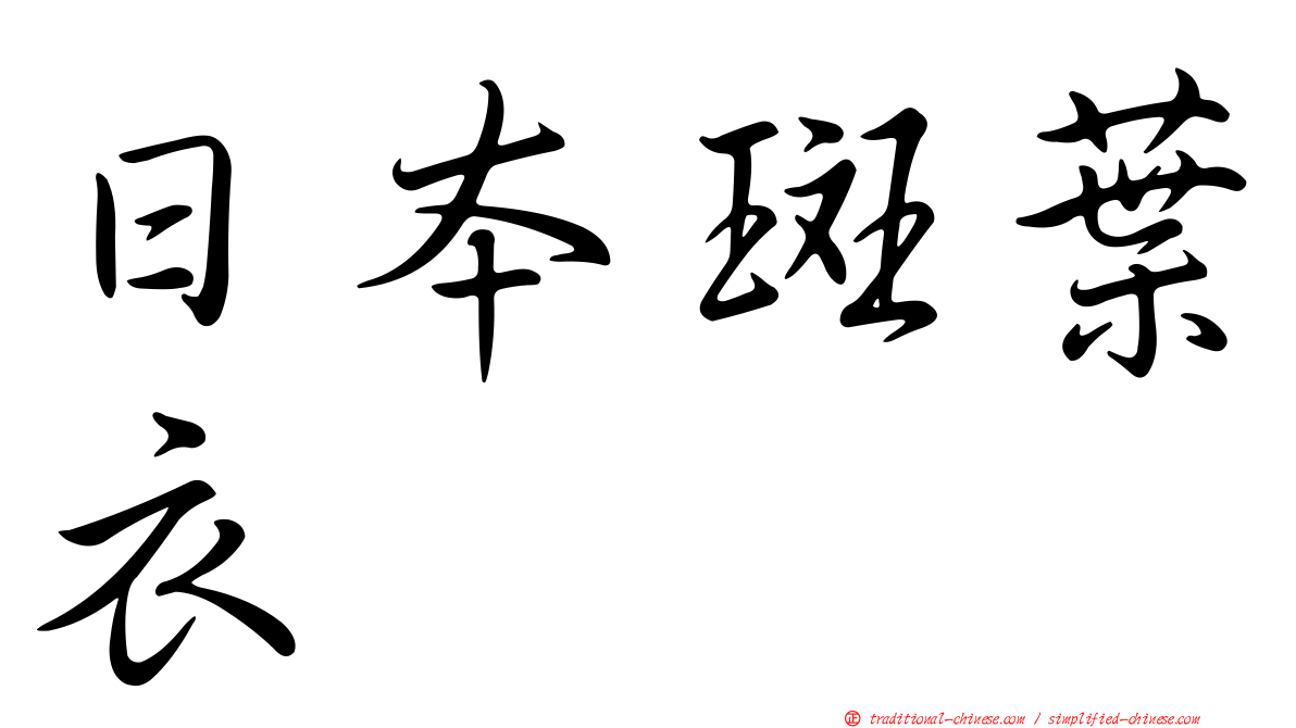 日本斑葉衣