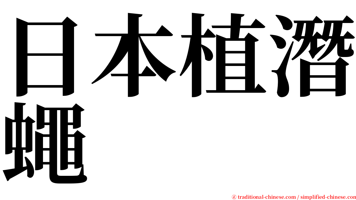 日本植潛蠅 serif font