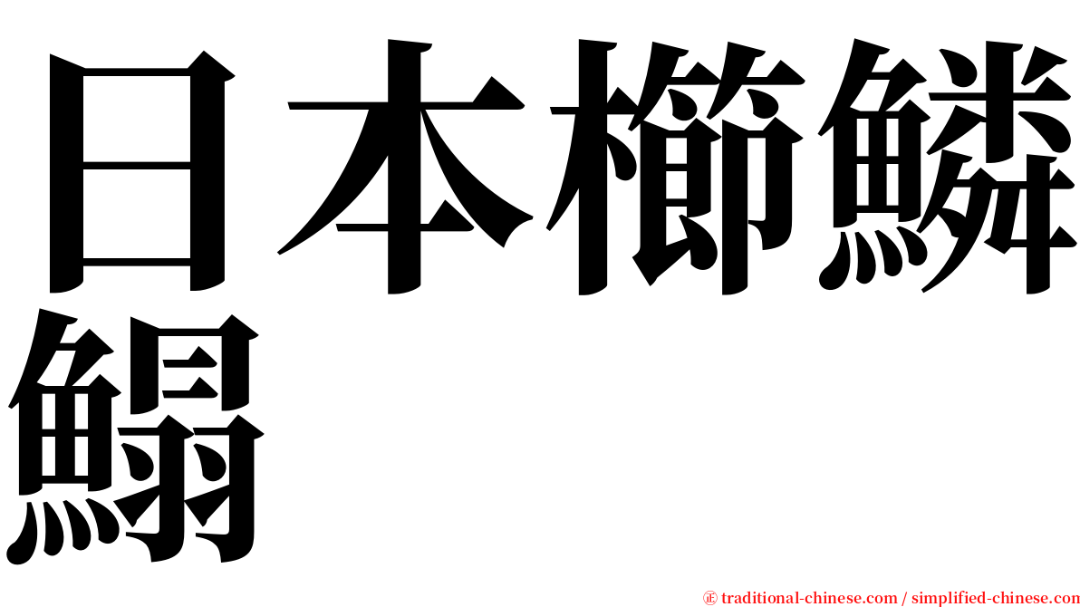 日本櫛鱗鰨 serif font