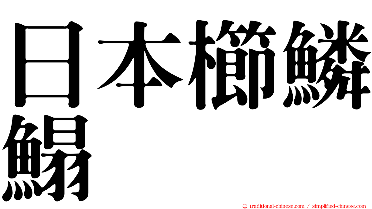 日本櫛鱗鰨