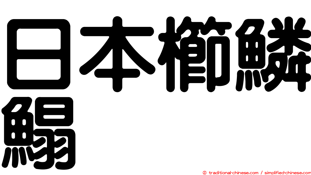 日本櫛鱗鰨