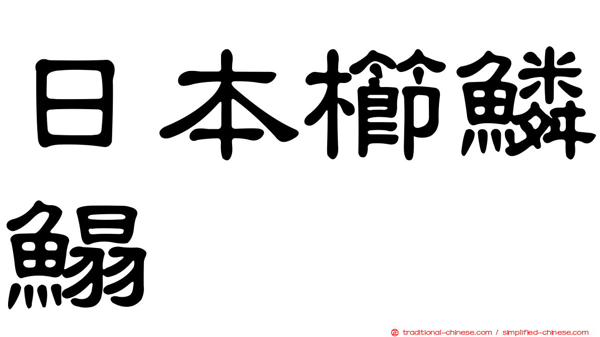 日本櫛鱗鰨