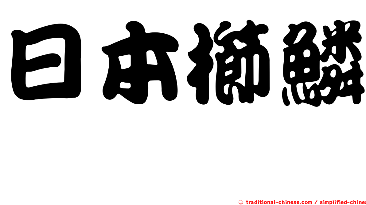 日本櫛鱗鰨