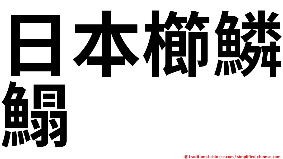 日本櫛鱗鰨