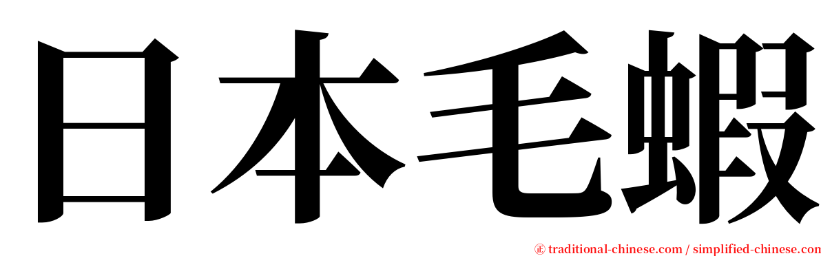 日本毛蝦 serif font