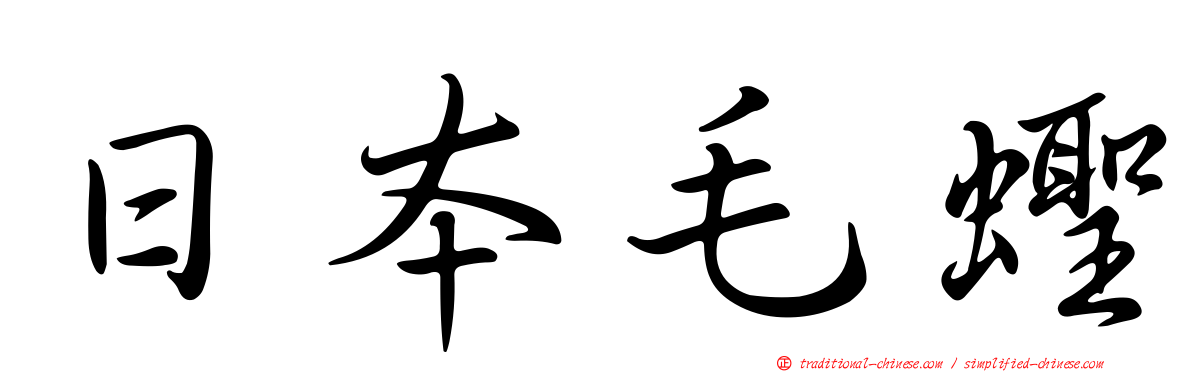 日本毛蟶