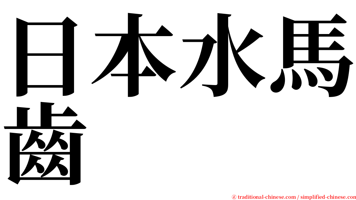 日本水馬齒 serif font