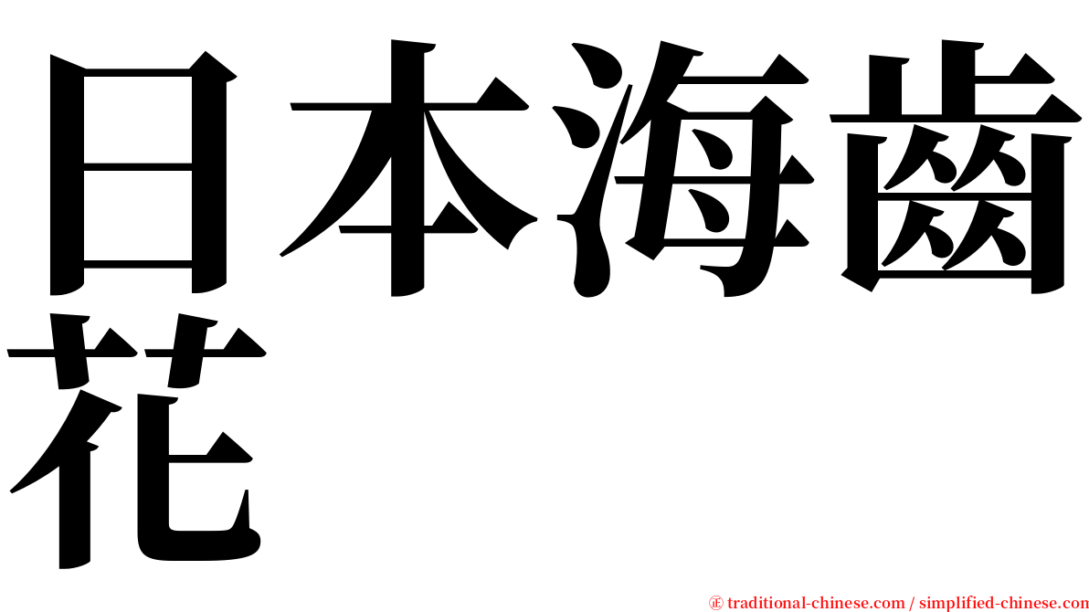 日本海齒花 serif font