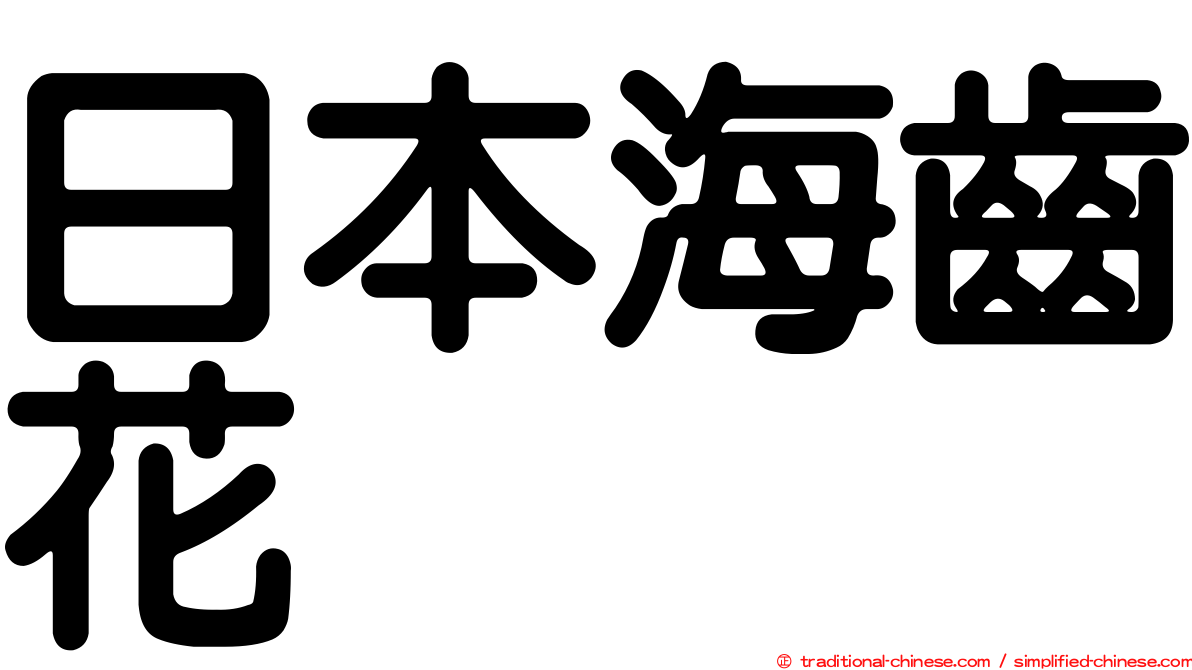 日本海齒花