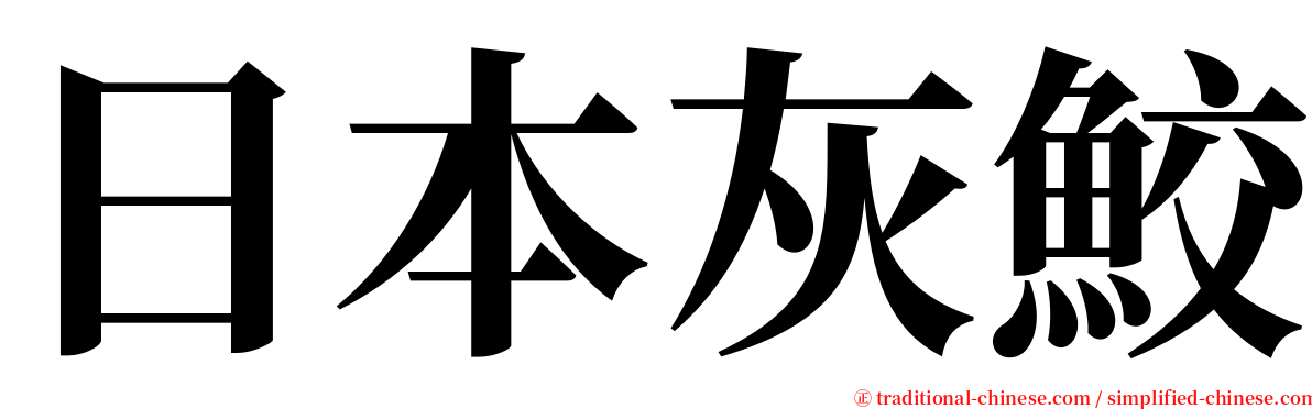 日本灰鮫 serif font