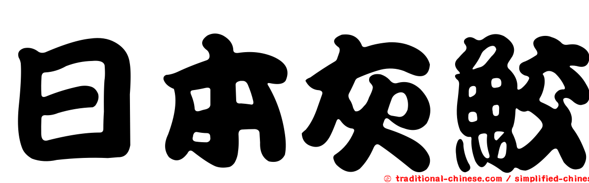 日本灰鮫