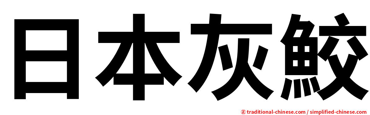 日本灰鮫