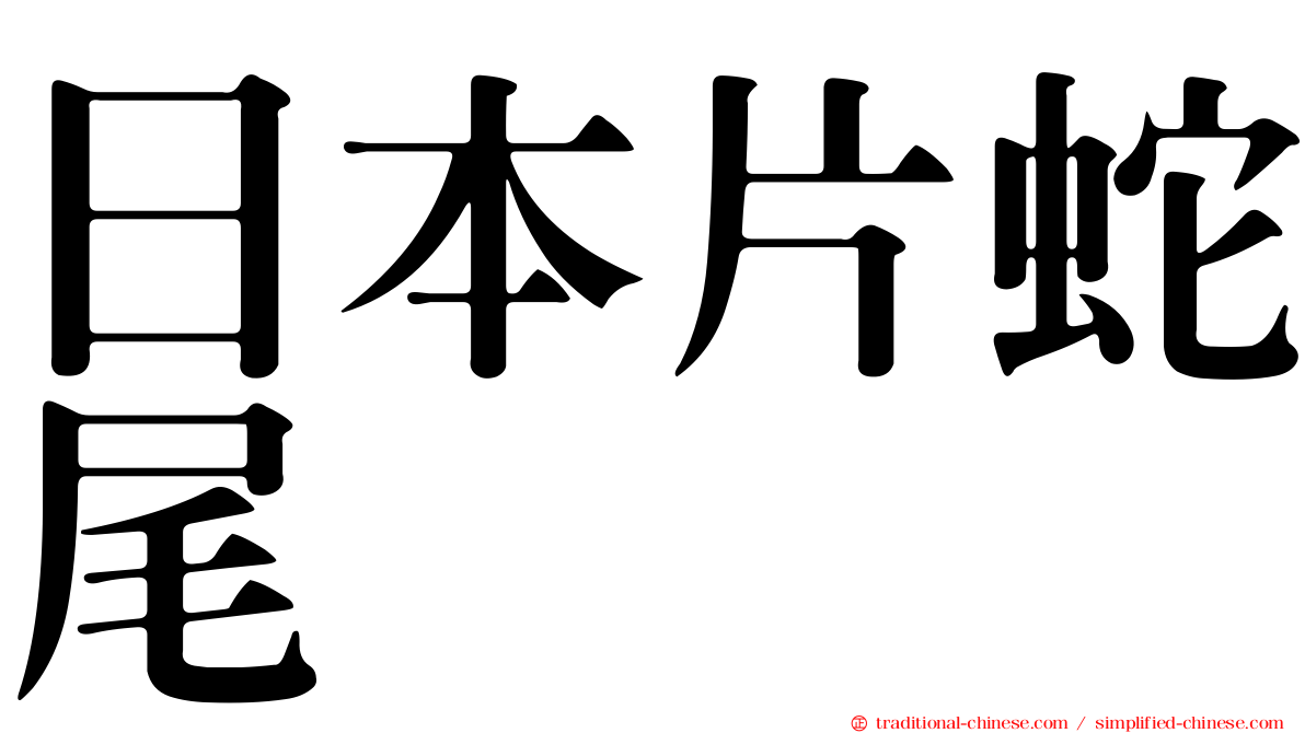 日本片蛇尾