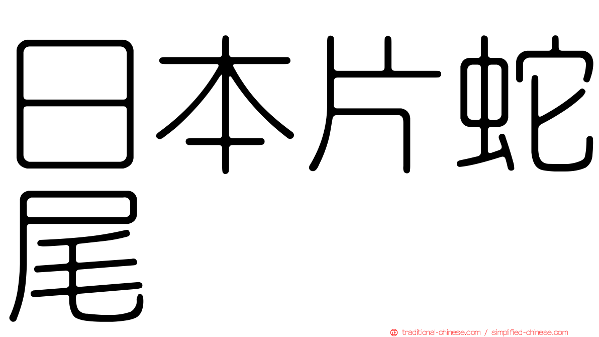 日本片蛇尾