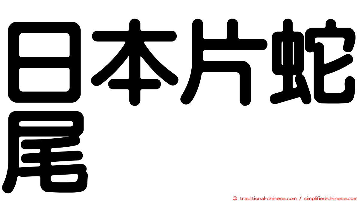 日本片蛇尾