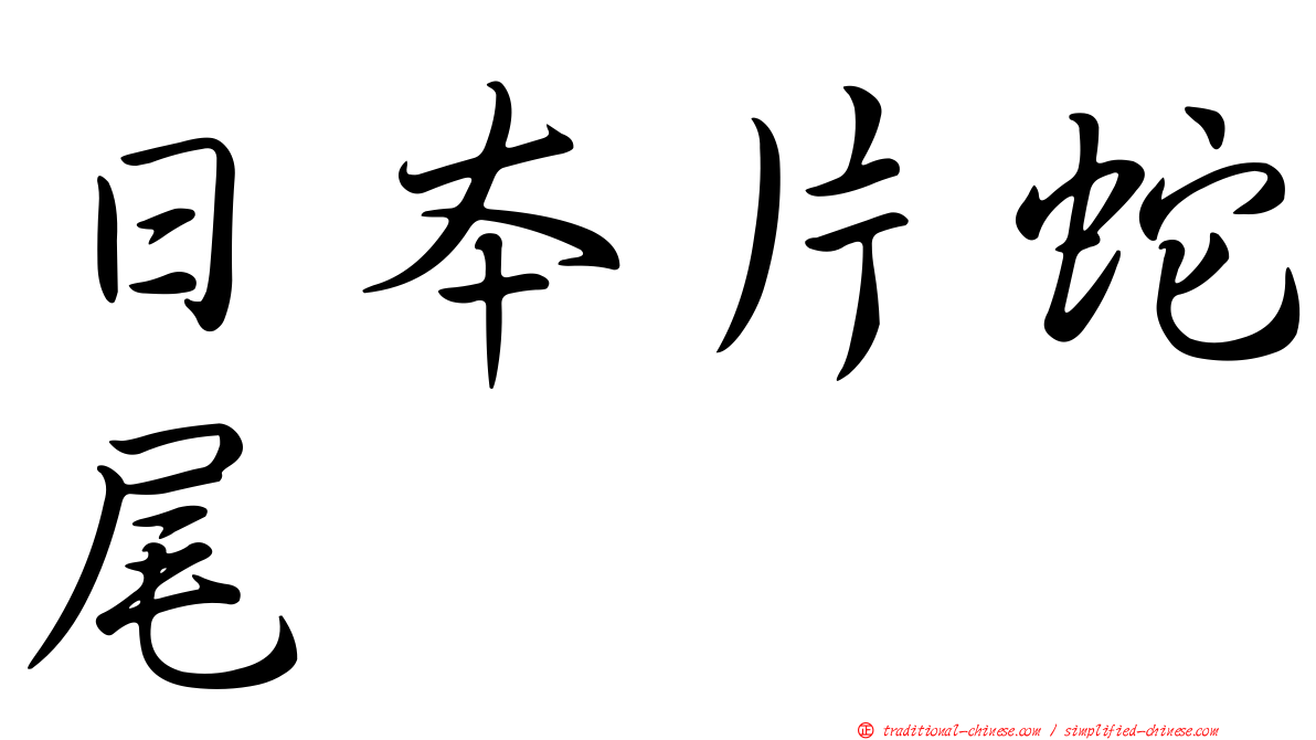 日本片蛇尾