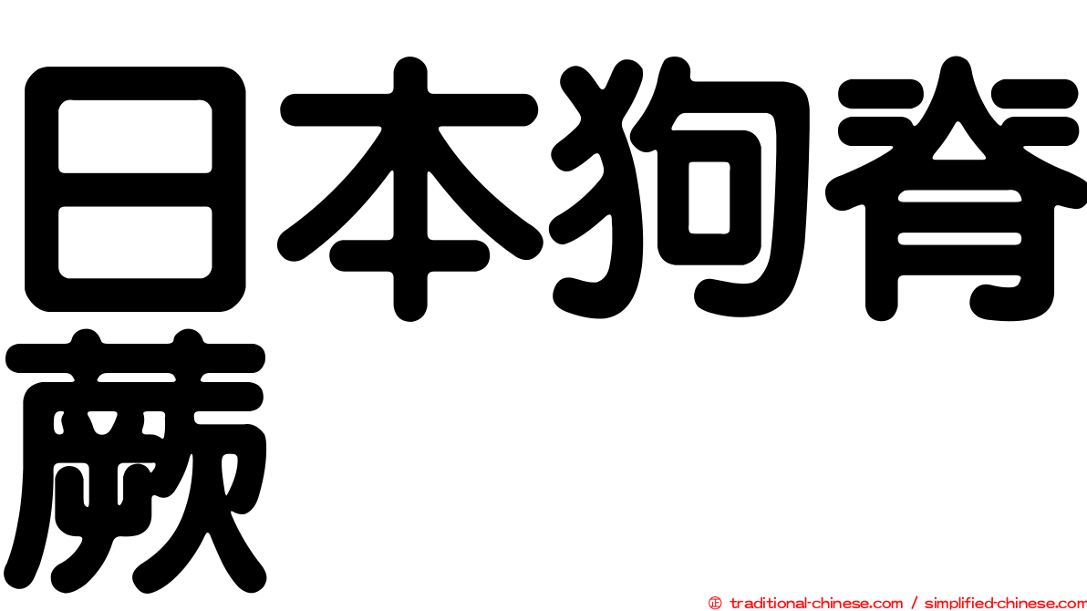 日本狗脊蕨