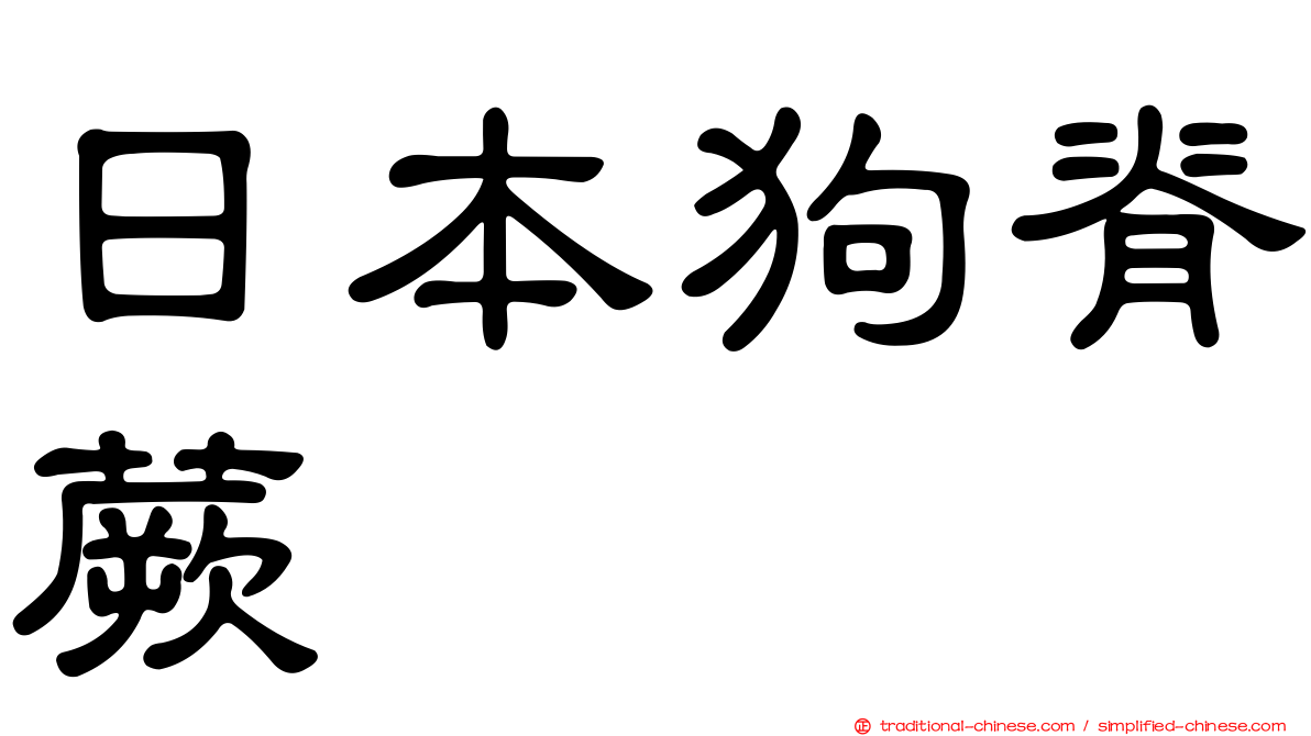 日本狗脊蕨